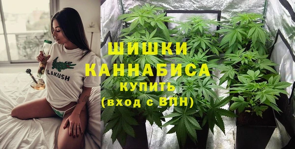 стафф Нефтекумск