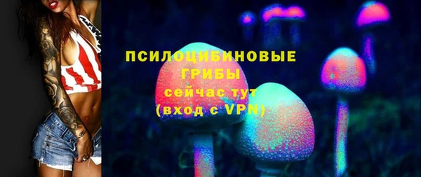 ПСИЛОЦИБИНОВЫЕ ГРИБЫ Надым