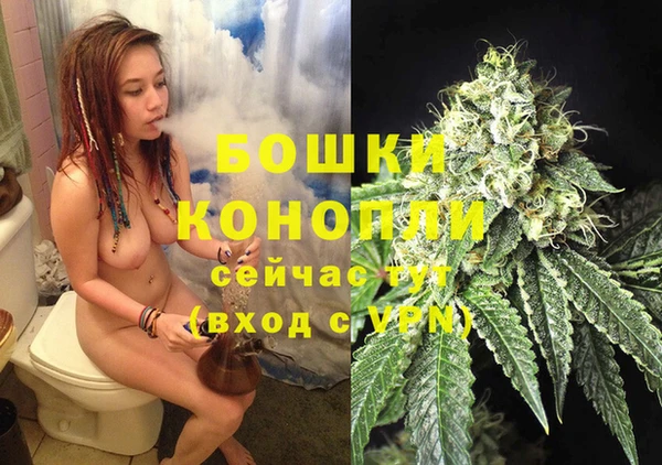стафф Нефтекумск
