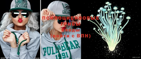 ГАЛЛЮЦИНОГЕННЫЕ ГРИБЫ Болхов