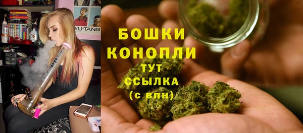 стафф Нефтекумск