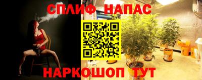 дживик Ирбит