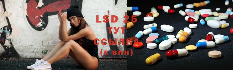 как найти закладки  Новодвинск  LSD-25 экстази кислота 