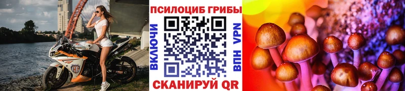 маркетплейс телеграм  Новодвинск  Галлюциногенные грибы MAGIC MUSHROOMS  дарнет шоп 