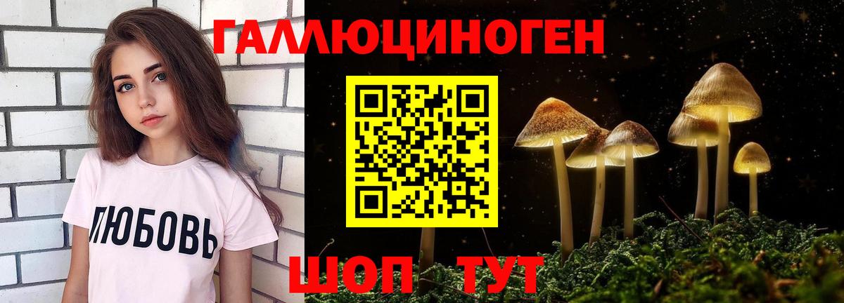 Новодвинск  Псилоцибиновые грибы прущие грибы  Вход с VPN  Псилоцибиновые грибы Magic Shrooms 